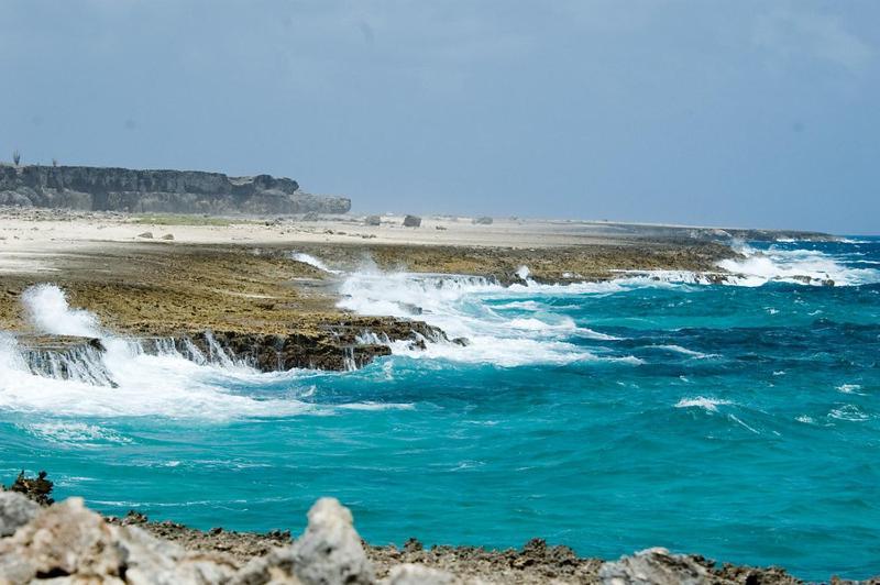 Woodz Bonaire Apartment Playa Exterior foto